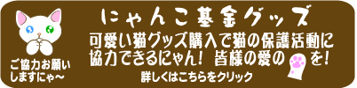 �ی�L����ɂ����͂��I