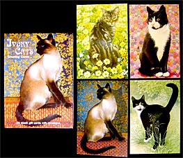 猫のカードボックス入りセット