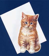 猫のカード