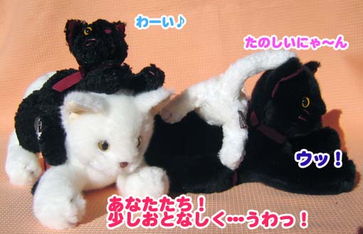 クタクタ猫のぬいぐるみ(大&小)一緒