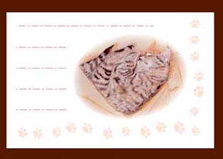 �C���X�g�����g��