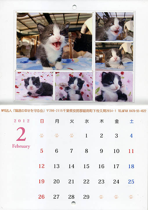 �L�̃J�����_�[