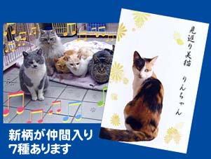 猫のポストカード