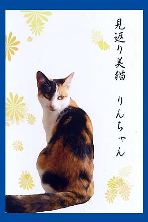 �L�̃|�X�g�J�[�h