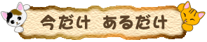 いまだけ!あるだけ!