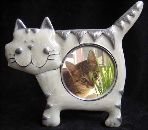 猫型フレーム