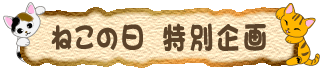 �L�̓����ʊ��