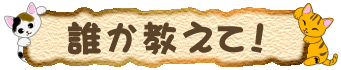 �N�������āI