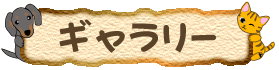 �M�������[