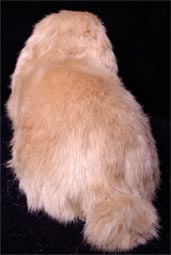 ���A���ȃ��b�v�C���[�̂ʂ�����݁i�x�[�W���j