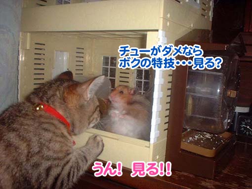 ちびたんと会話