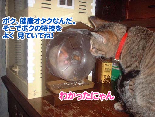 みててね!とちびたん
