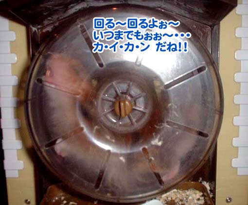 走るチビたん