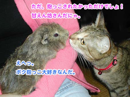 モルモットとミャウのキス