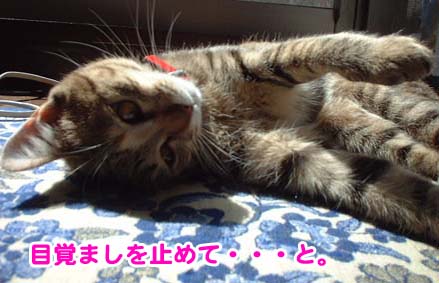 ڊo܂~߂~E