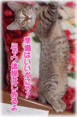 ~ELт摜