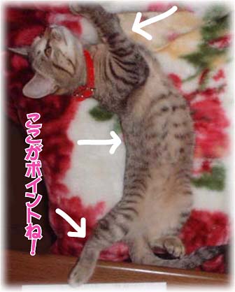 ~Ew炷摜