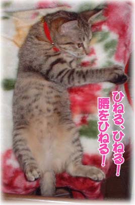 ~EЂ˂摜