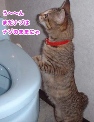 空を仰いで考え込むミャウ