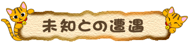 mƂ̑