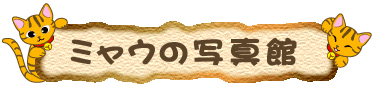 ~E̎ʐ^
