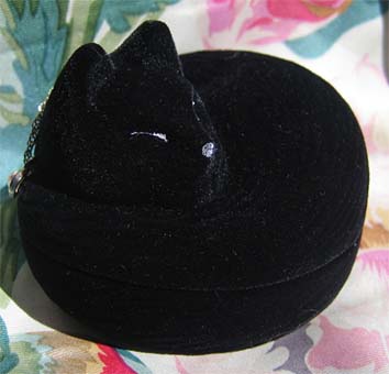 黒猫のアクセサリーケース(斜め横から)