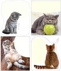 猫の付箋