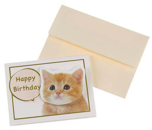 猫柄メッセージカード