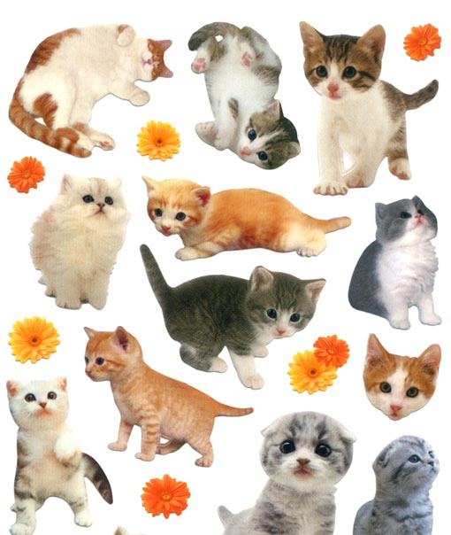 猫のシール