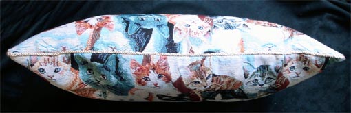 �S�u�����D��L�̃N�b�V����