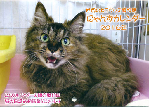 猫のカレンダー