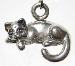 猫部分の拡大画像(正面)