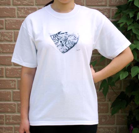 Tシャツの画像