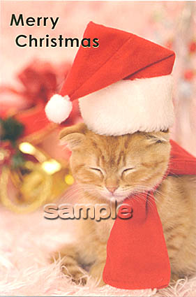 猫のクリスマスカード