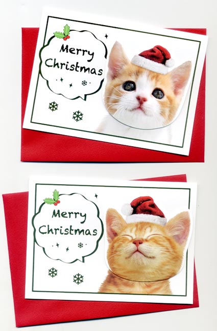 猫のクリスマスカード