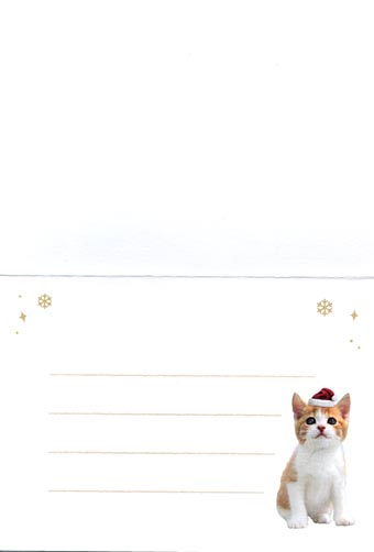 猫のクリスマスカード