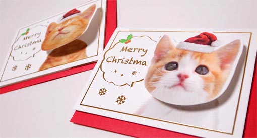 猫のクリスマスカード