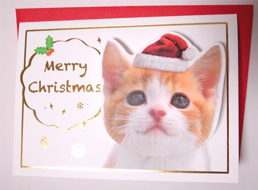 猫のクリスマスカード