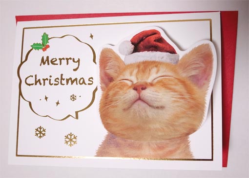 猫のクリスマスカード
