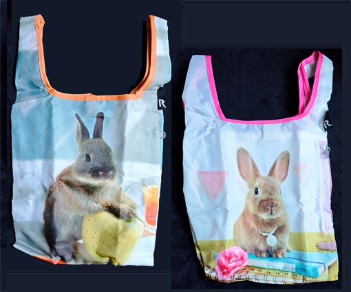 ���������̃G�R�o�b�O