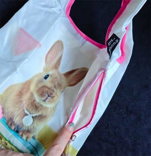 ���������̃G�R�o�b�O