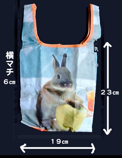 ���������̃G�R�o�b�O