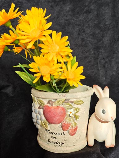 �v�����^�[